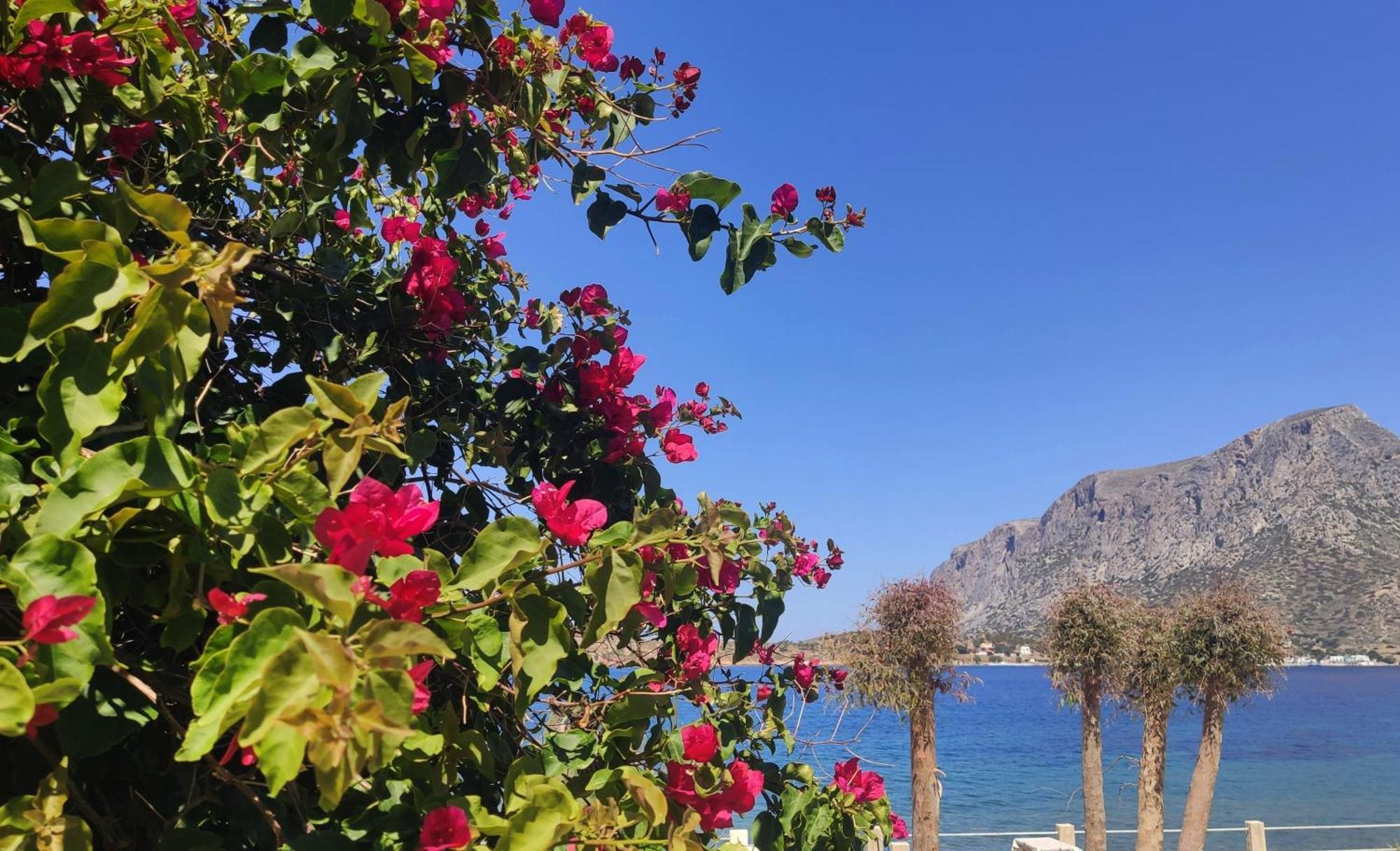 Agialos Rooms Kalymnos Town Екстер'єр фото